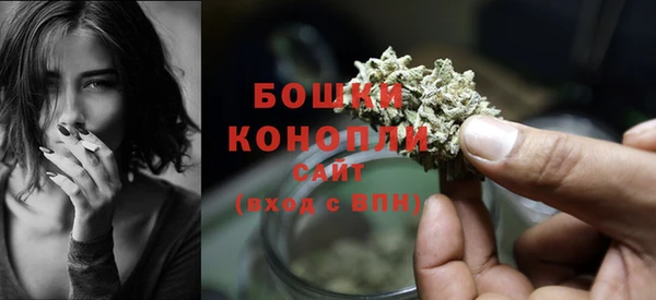 гидра Аша