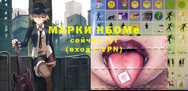 гидра Аша