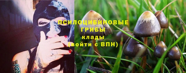 гашишное масло Гусев