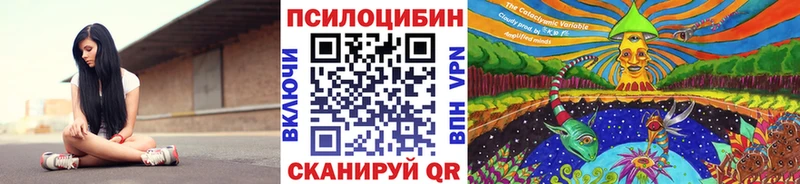 Псилоцибиновые грибы GOLDEN TEACHER  Дмитриев 